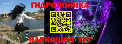 ешки Краснодар