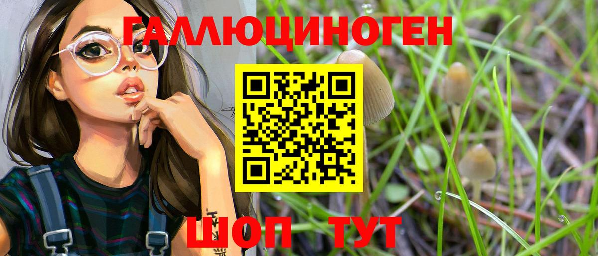 Псилоцибиновые грибы Psilocybe Бирск
