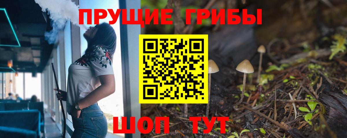 Псилоцибиновые грибы прущие грибы  Вход с VPN  Бирск 